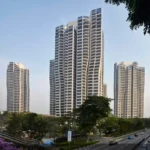 D'Leedon